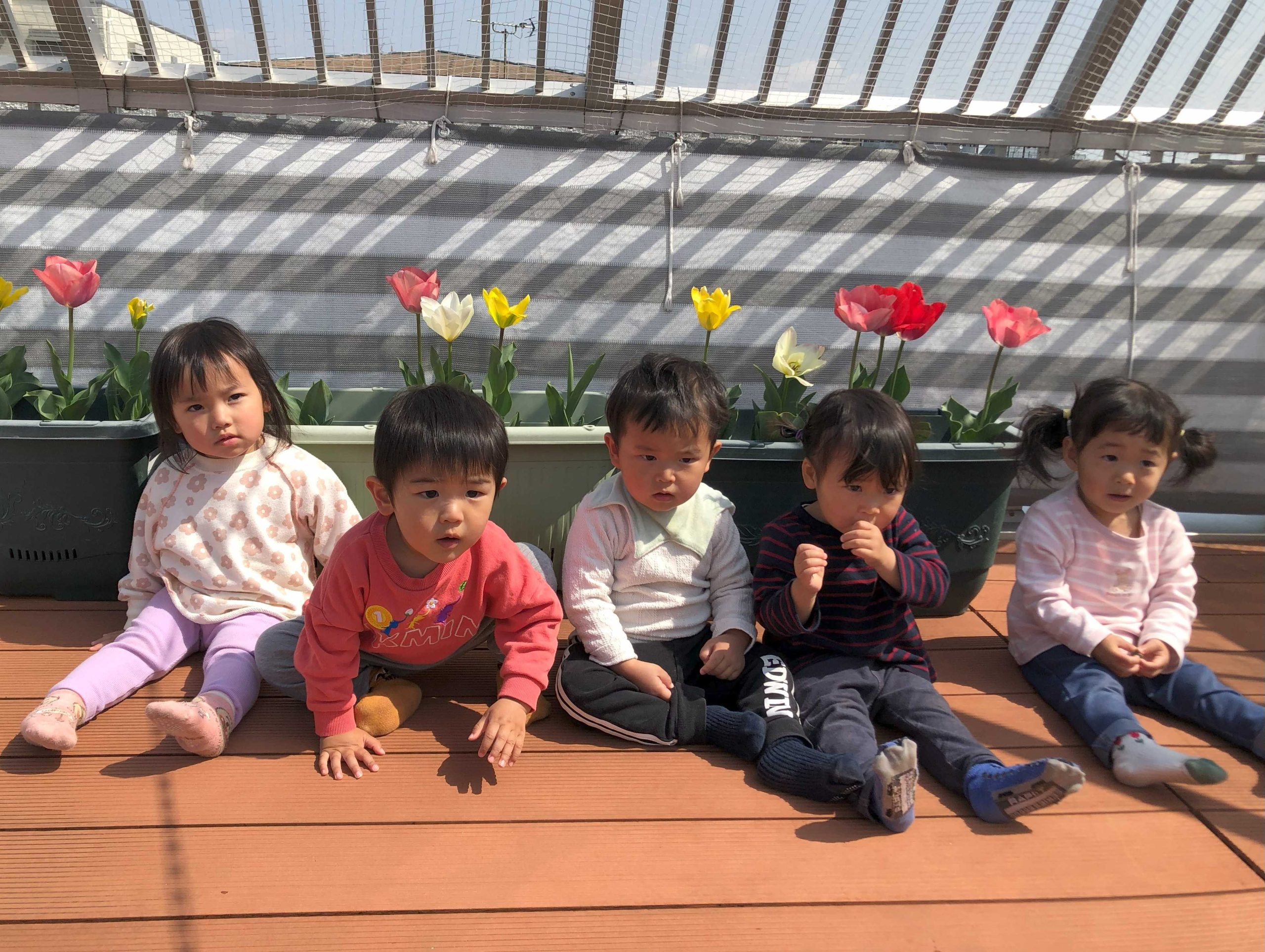 りす組 テラスで遊んだよー☀️
