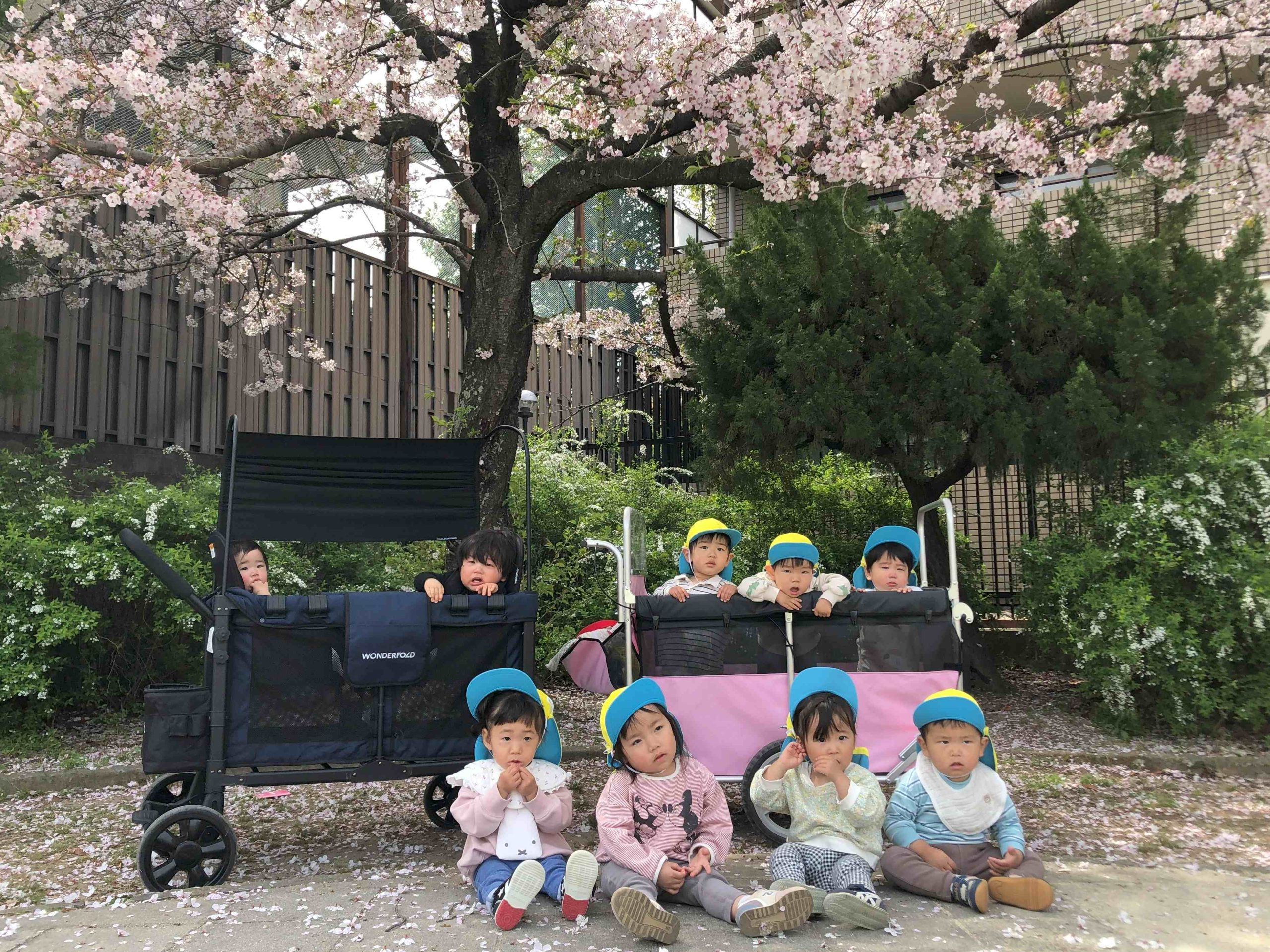 りす組 お散歩にいったよ🌸