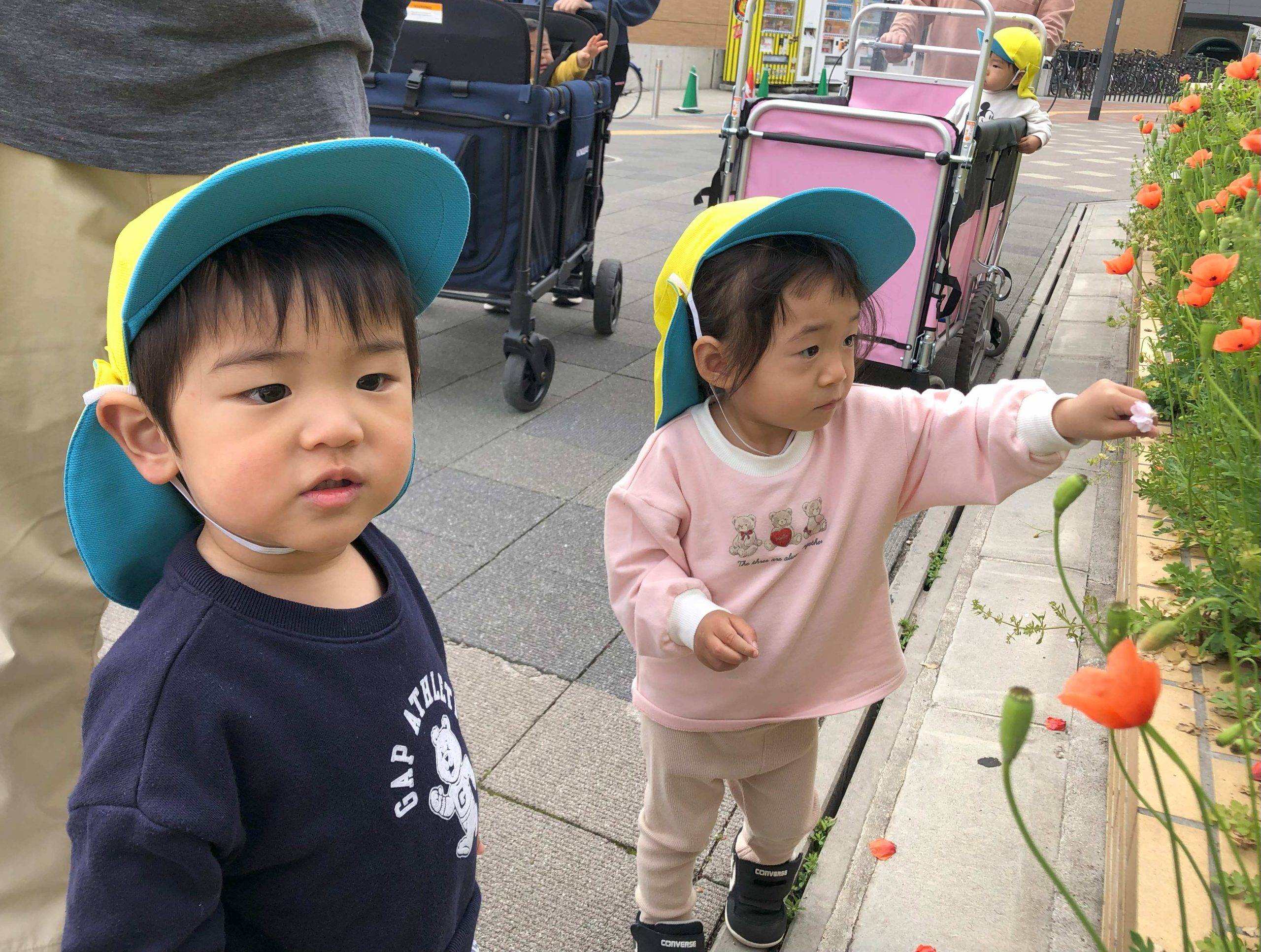 ひよこ・りす 一緒にお散歩🏵️