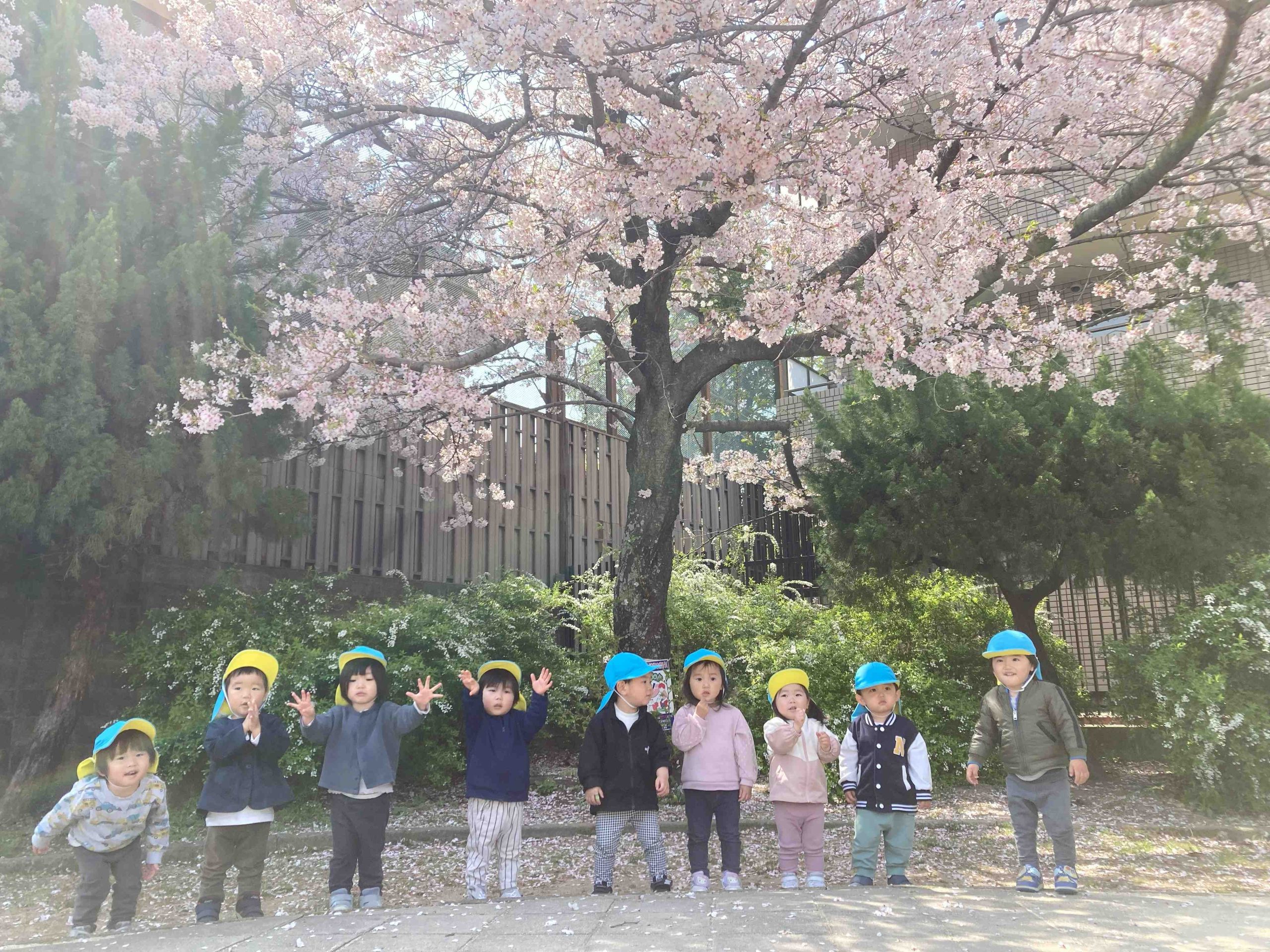 うさぎ組 初めてのおさんぽ🌸