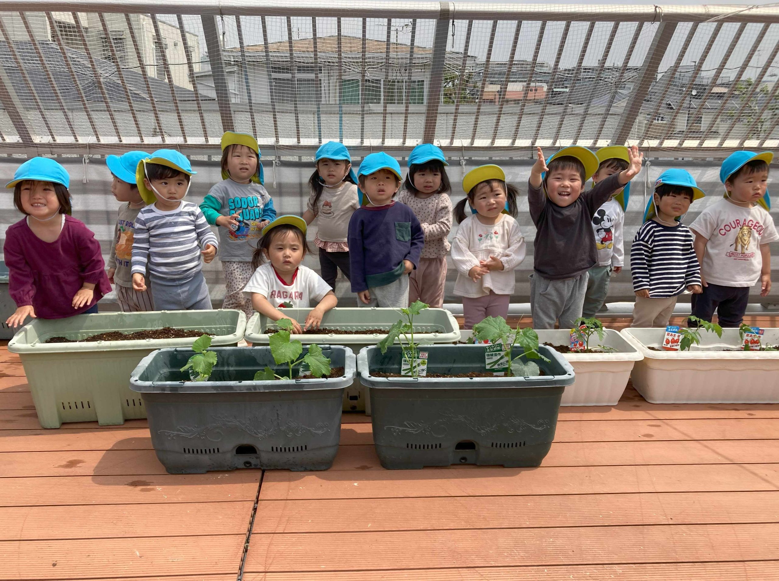 うさぎ組 野菜の苗を植えました🌱
